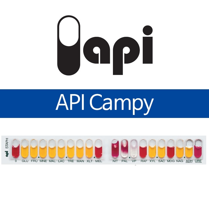API Campy Kit