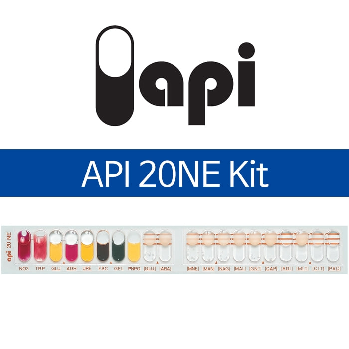API 20NE Kit