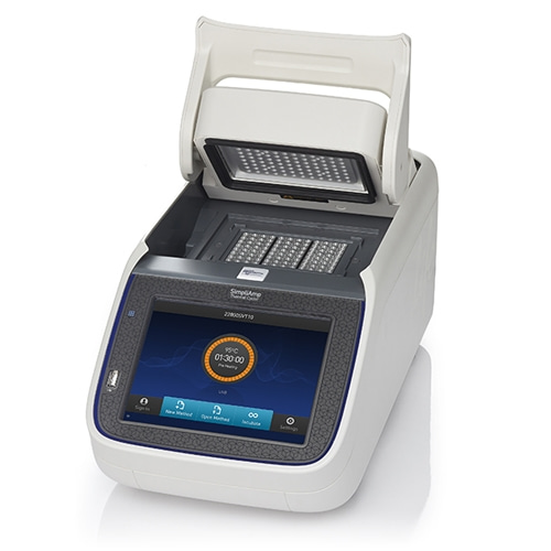 PCR 장출혈성대장균 미생물실험