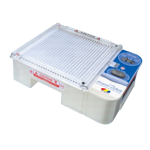 PCR 장출혈성대장균 실험 기기 (전기영동장치)