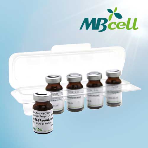 [MBCELL] PALCAM Listeria supplement (1 vial) (98640)