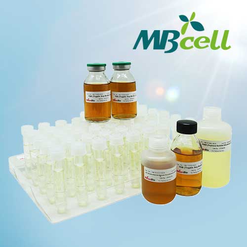 [MBCELL] TSB (Tryptic Soy Broth) 9ml Tubes (50 tubes/box)